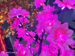 移动电源充电宝还是选品牌更放心，网购还是上苏宁易购更省心