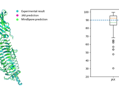 昇思MindSpore再突破：蛋白质结构预测训练推理全流程开源，助力生物医药发展