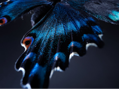 借力算法，海天瑞声驾驭自动驾驶“新引擎”