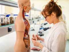 数字人研发遇瓶颈IT系统拖后腿 戴尔科技PowerStore1000T存储来解决