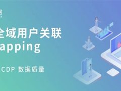 神策全域用户关联服务发布，提升企业 CDP 数据质量