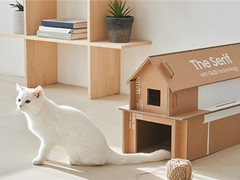 618来袭，大家都在关注电视的哪些特点？