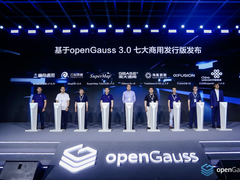 海量数据成功举办openGauss  Developer Day 2022