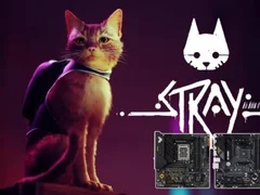 华硕重炮手主板体验Stray猫咪冒险游戏