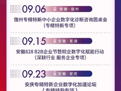 安徽828 B2B企业节启航，华为云赋能中小企业数字化转型