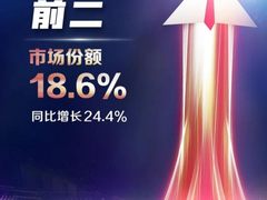 增长24.4%！蝉联中国第二！