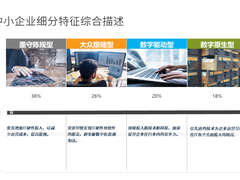 IDC首发中国中小企业画像报告