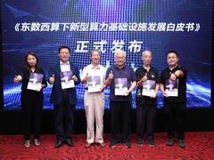 因地制宜建设算力基建, 首部“东数西算”基础设施白皮书发布