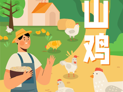 95后返乡创业养山鸡，如何做到一年毛利润80万？