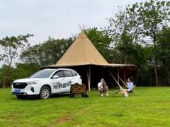 解锁5月超值优惠,哈弗M6 PLUS养宠家庭新选择