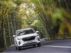 高性价比的自驾车推荐！网友：“我选哈弗M6 PLUS”