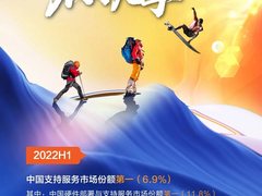 再度登顶！新华三实力领航中国IT服务市场