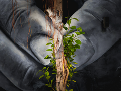 全球超30万件投稿，2022荣耀手机影像计划年度大奖今日揭晓