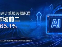增速第一！新华三跃居中国加速计算服务器市场前二