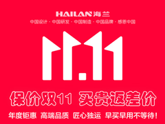 双十一优惠提前享 海兰一体机电脑优惠大促