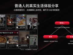 大规模深度学习系统技术是如何应用的