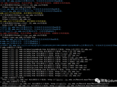 IPv6规模化部署之门户网站IPv6支持度整改