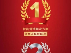 IDC：索信达位列中国银行业智能营销解决方案市场第一名