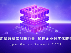 openGauss正式推出资源池化架构，全新升级社区工具DataKit