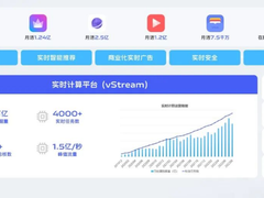 vivo 实时计算平台建设实践