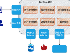 单体TienChin和微服务TienChin有何异同？