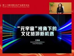 完美世界王雨蕴：在元宇宙视角下把握文化旅游新机遇