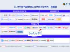 蓝凌入选《年度中国低代码行业优秀厂商》