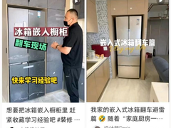 肆虐冰箱行业的“放入式”冰箱，谁来终结？