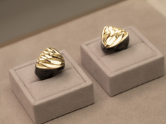 Swan & Bidou Jewelry梦幻联名版——惠威IX-Max入耳式高保真耳塞