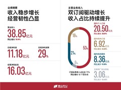 金山办公发布2022年报，订阅业务表现亮眼，AI推进办公智能化进程