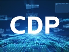 神策数据入选 IDC 中国客户数据平台 CDP 市场规模及厂商份额报告