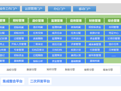 蓝凌低代码打造工程咨询企业一体化项目管理