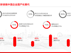 企业全面数智化转型，国产替代成为安全保障