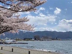 爱普生砥砺创新逾80载，以绿色科技引领发展未来