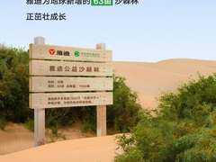 63亩公益沙棘林扎根发芽，雅迪以绿色可持续充“植”美好生活