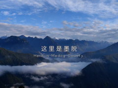 骁龙连续四年携手中国国家地理，用科技来传递生命的力量