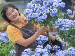 两家花店倒闭后她在抖音电商卖花，一场直播带货4万单