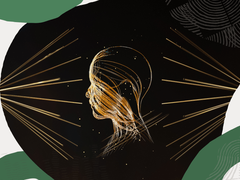 Oracle 为企业提供强大且安全的生成式 AI 服务