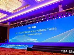 问道国产数据库创新发展 第二十五届中国国际软件博览会•中国数据库产业峰会成功举办