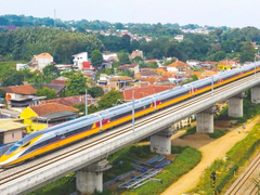 国产超大屏电视打破两项纪录，TCL成QD-Mini LED电视领域代表