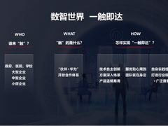 华为：每个企业都能“一触即达”数智世界