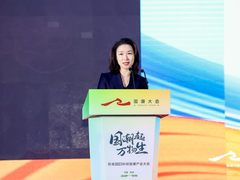 完美世界王雨蕴：文创思维让科技国潮产业绽放时代生命力