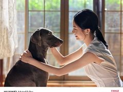 “人宠合拍神器”华为Mate 60 Pro、Mate X5，助你轻松拍爱宠！
