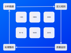 数据质量问题管理实践
