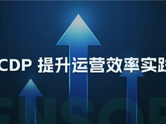 神策数据：企业基于 CDP 的数字化运营效率提升实践解读