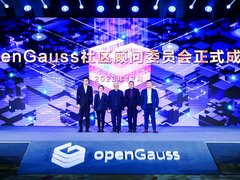 openGauss系新增市场份额达21.9%，跨越生态拐点