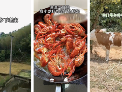 抖音为何要不断提升画质体验？