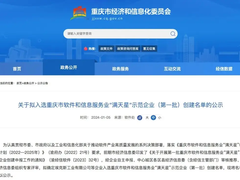 亚信科技旗下数智逻辑入选首批重庆市软件和信息服务业“满天星”示范企业