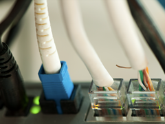 如何为网络选择Brite Box和White Box交换机