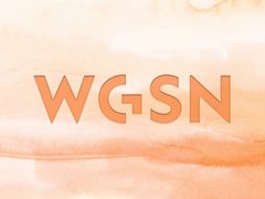 国际趋势预测机构WGSN 2024未来十三大趋势发布